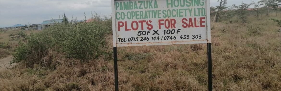 Why Pambazuka ranks the top in real estate investment companies in Kenya